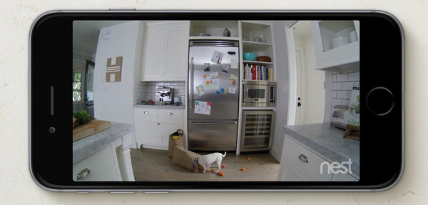 Nest Cam Video