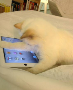 Screen Shot 2012-06-06 at 20.48.20