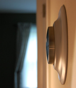 Smart Finish Nest Mount